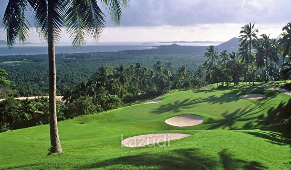 Amaya Samui