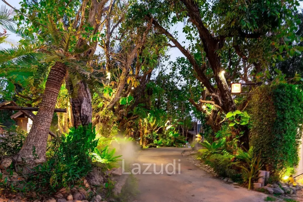 Forest Pool Villas Pattaya for Sale