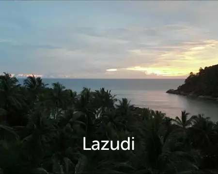 Viva Patong