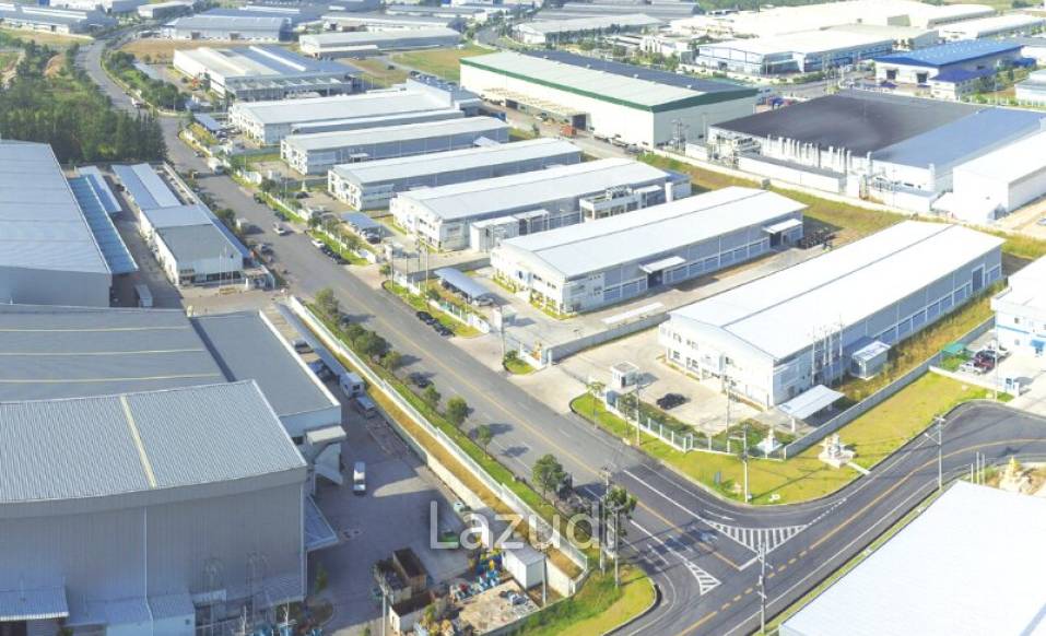Pinthong Industrial Estate 6