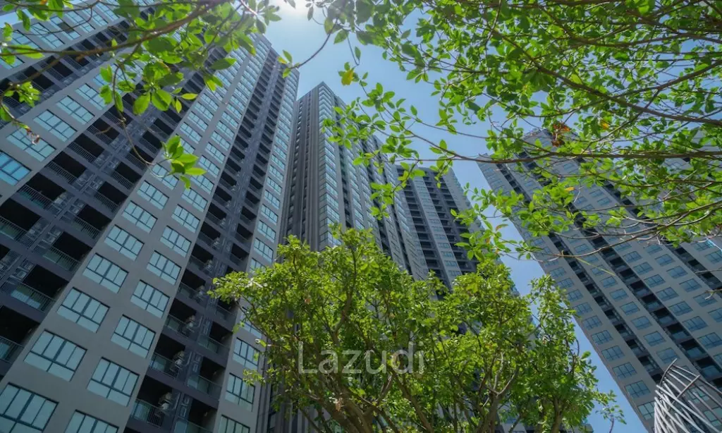 1 Bedroom 1 Bathroom 32 SQ.M Elio Del Nest