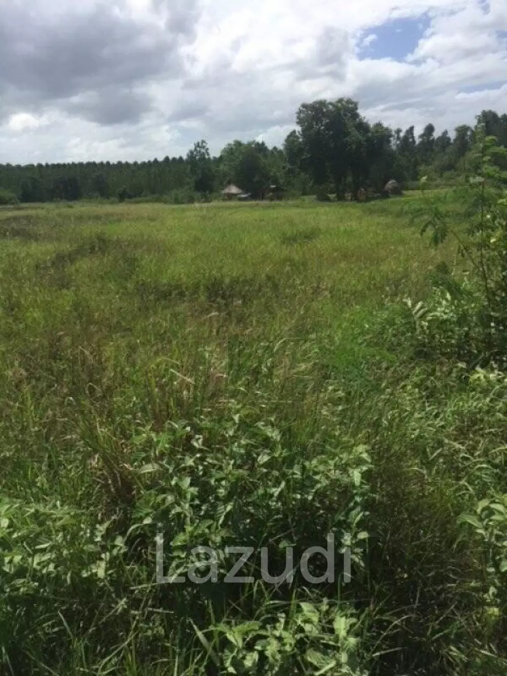 13 Rai of Land in Soi 112