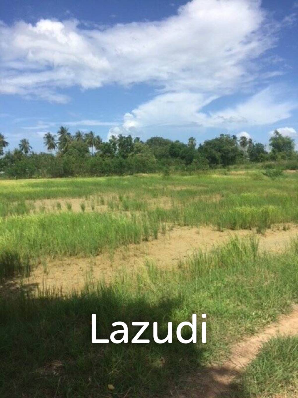 13 Rai of Land in Soi 112