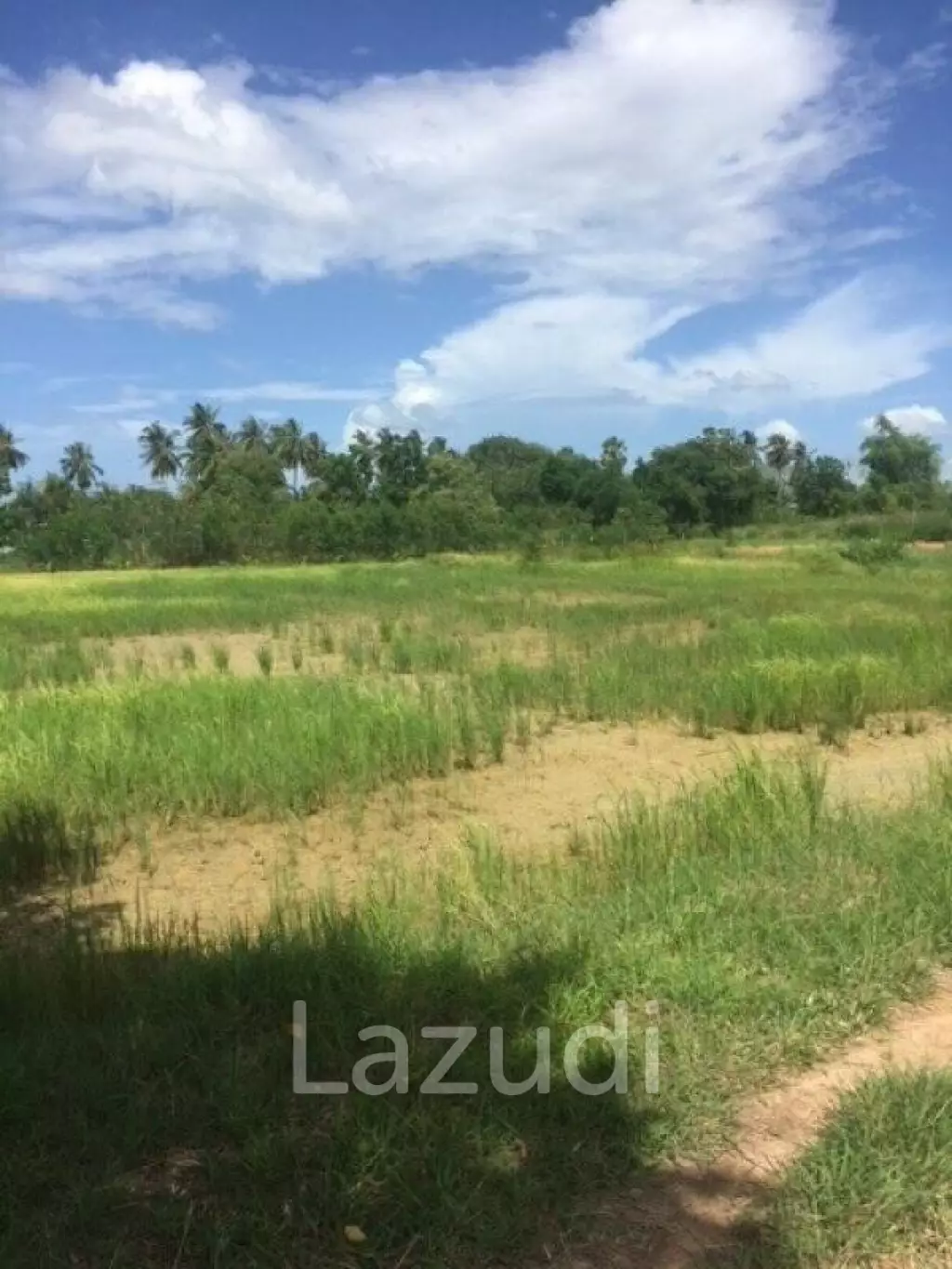 13 Rai of Land in Soi 112