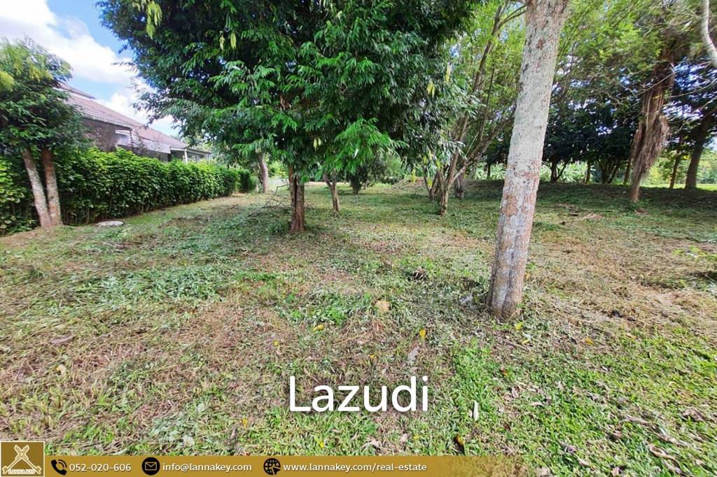 1 Rai Lovely rectangular plot of land for sale