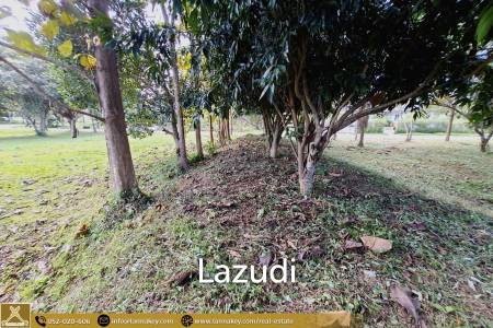 1 Rai Lovely rectangular plot of land for sale