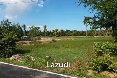 2 RAI OF LAND IN DOLPHIN BAY, SAMROIYOT NATIONAL PARK