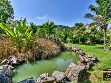 Exotic Land Plot with Feature Pond