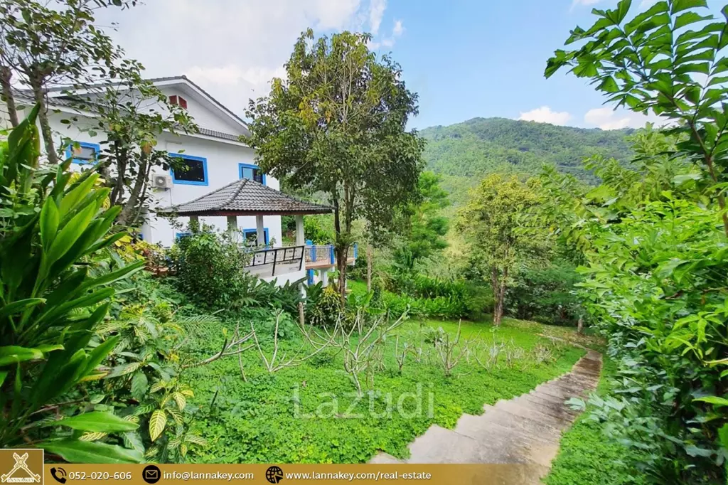 Newly house build on hill for sale in Mae Chan