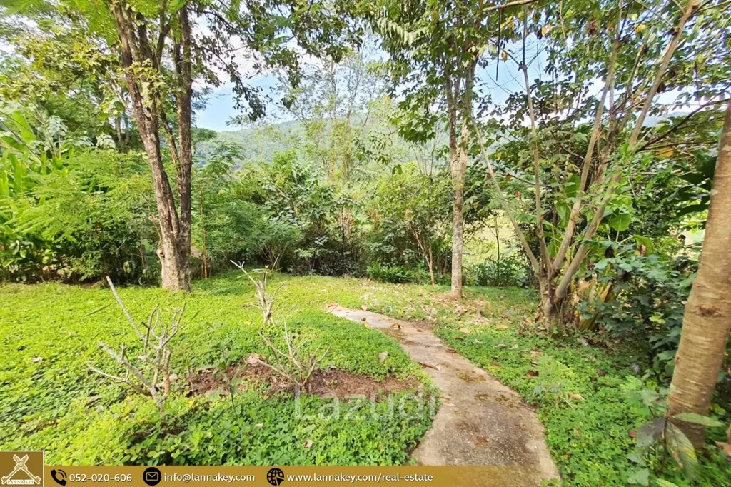 Newly house build on hill for sale in Mae Chan