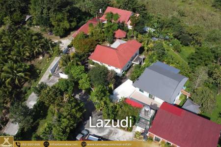 Newly house build on hill for sale in Mae Jan