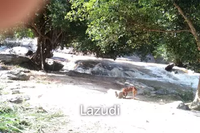 1524 SQ.M Land For Sale At Ban Luang Area