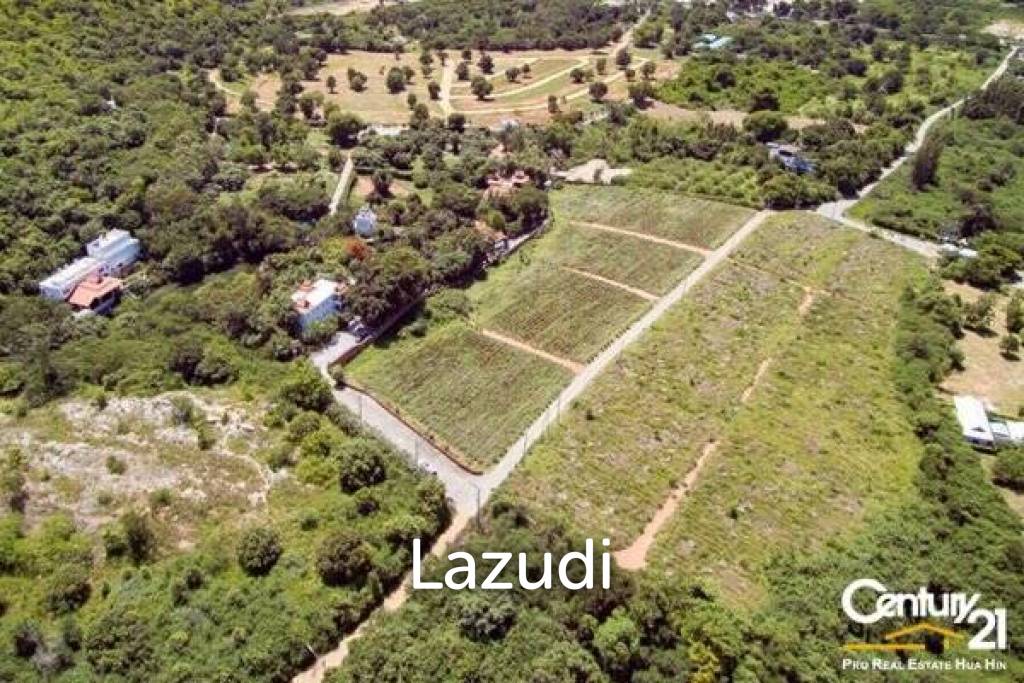 12 Rai of Stunning Mountain View Land