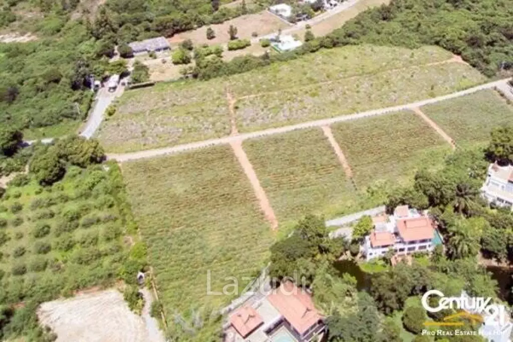 12 Rai of Stunning Mountain View Land