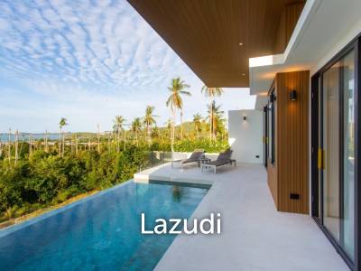 5 Bed 6 Bath 513.63 SQ.M Paragon Villas