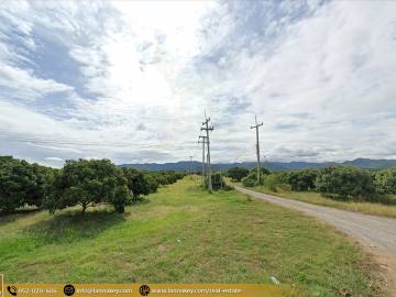 Longan plantation farm for sale at Chom Thong district