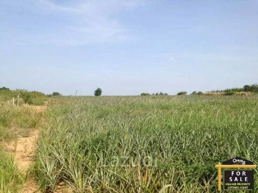 Lovely Land near Main Road with Great Views