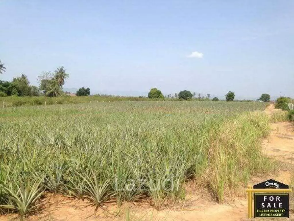 Lovely Land near Main Road with Great Views