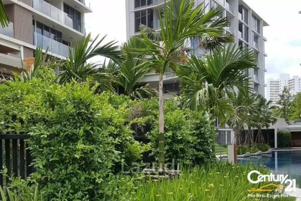 1 Bed Pool View Condo