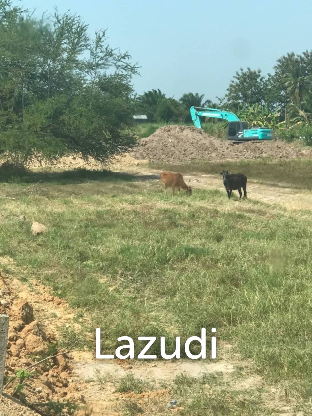 Land 3000 sqm near beach in Phetchaburi