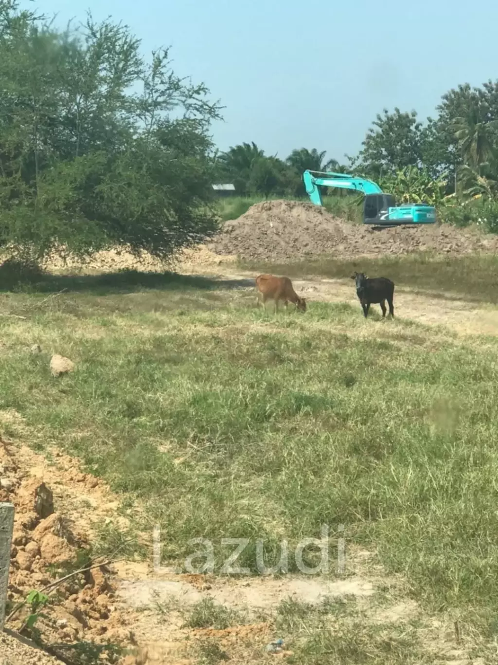 Land 3000 sqm near beach in Phetchaburi