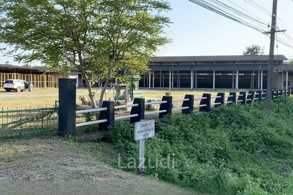 Sell/Rent 7 rai land close to the main road.