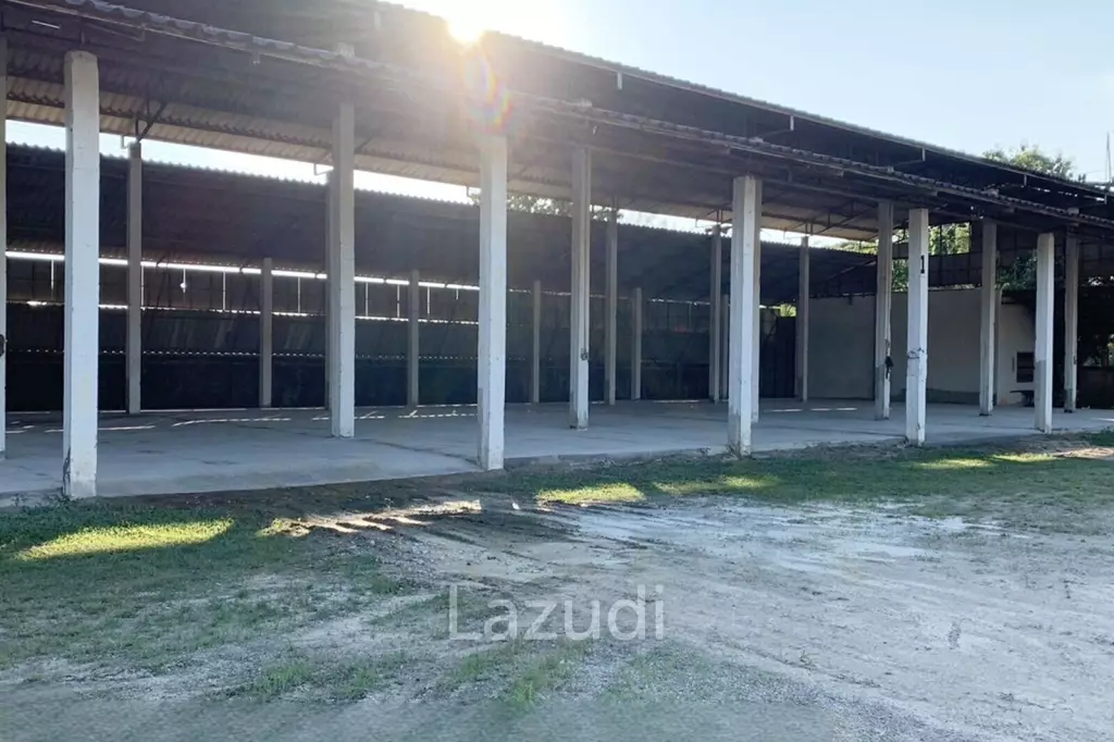Sell/Rent 7 rai land close to the main road.