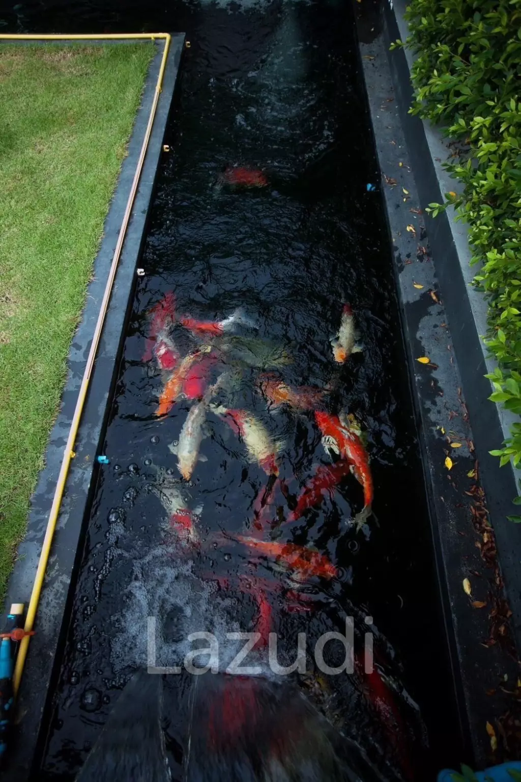 ขายบ้านพร้อมโรงงานทำถุงมือผ้าใน แม่สาย เชียงราย