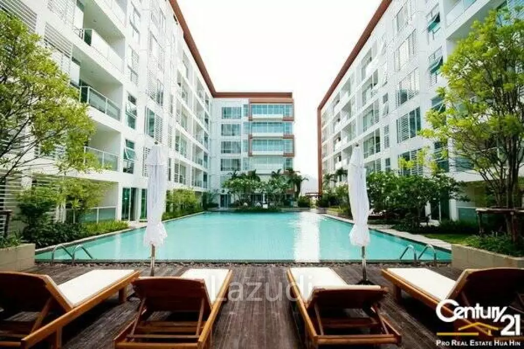 Beautiful 2 Bed Condo