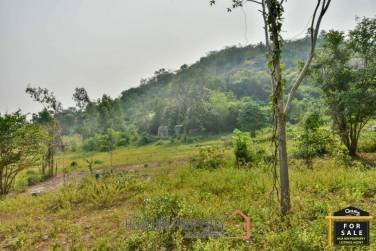 Prime Development Land with Sea Views 43 Rai