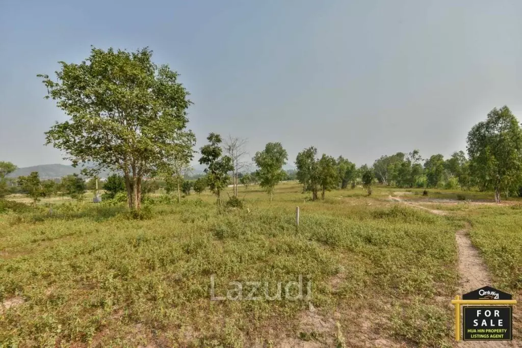 Prime Development Land with Sea Views 43 Rai