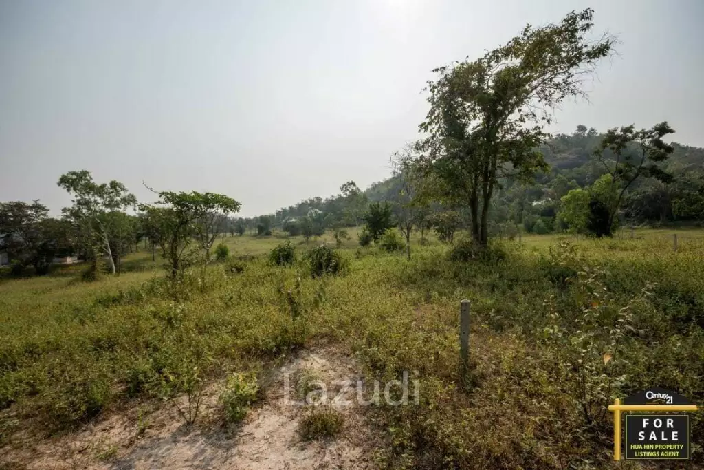 Prime Development Land with Sea Views 43 Rai