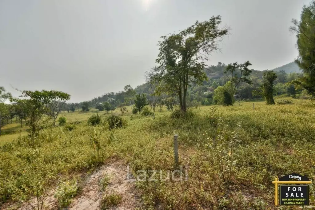 Prime Development Land with Sea Views 43 Rai
