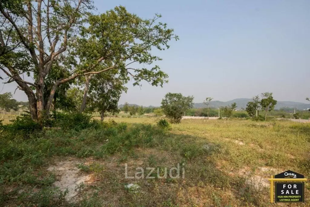 Prime Development Land with Sea Views 43 Rai