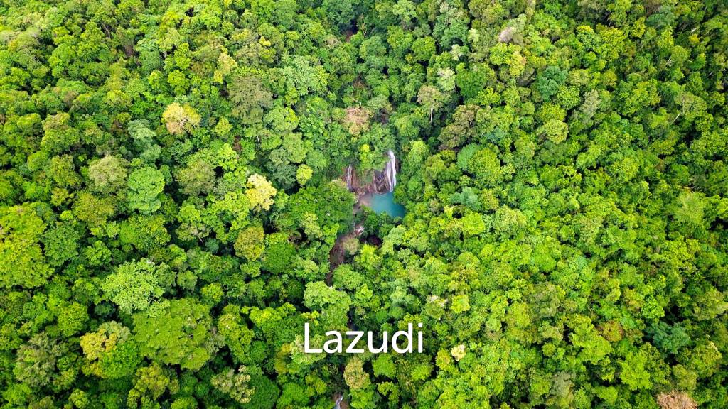 Beachfront land In Sumba