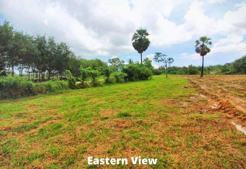5.5 RAI subdivided land | BAAN PARA PA-KHLOK 5.5 RAI subdivided land | BAAN PARA PA-KHLOK
