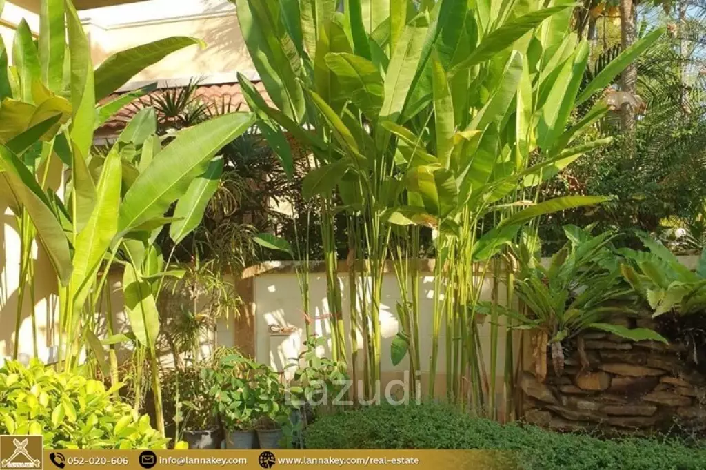 House for rent in Rung Arun 3 near Kad Farang