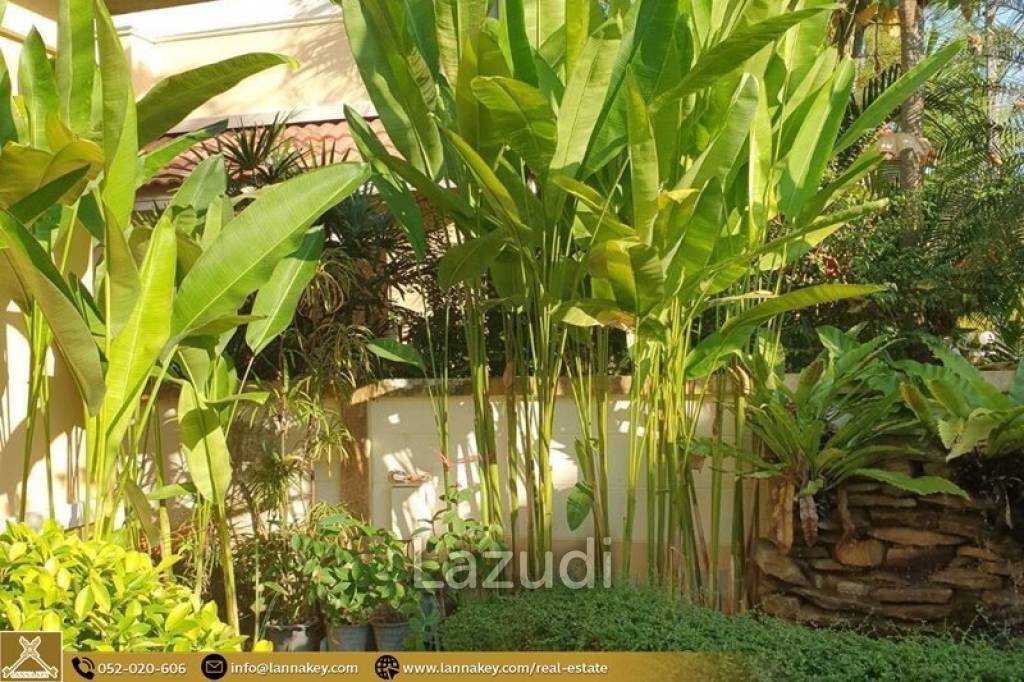 House for rent in Rung Arun 3 near Kad Farang
