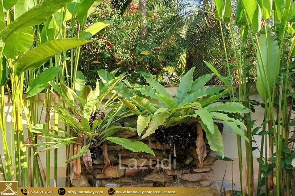 House for rent in Rung Arun 3 near Kad Farang