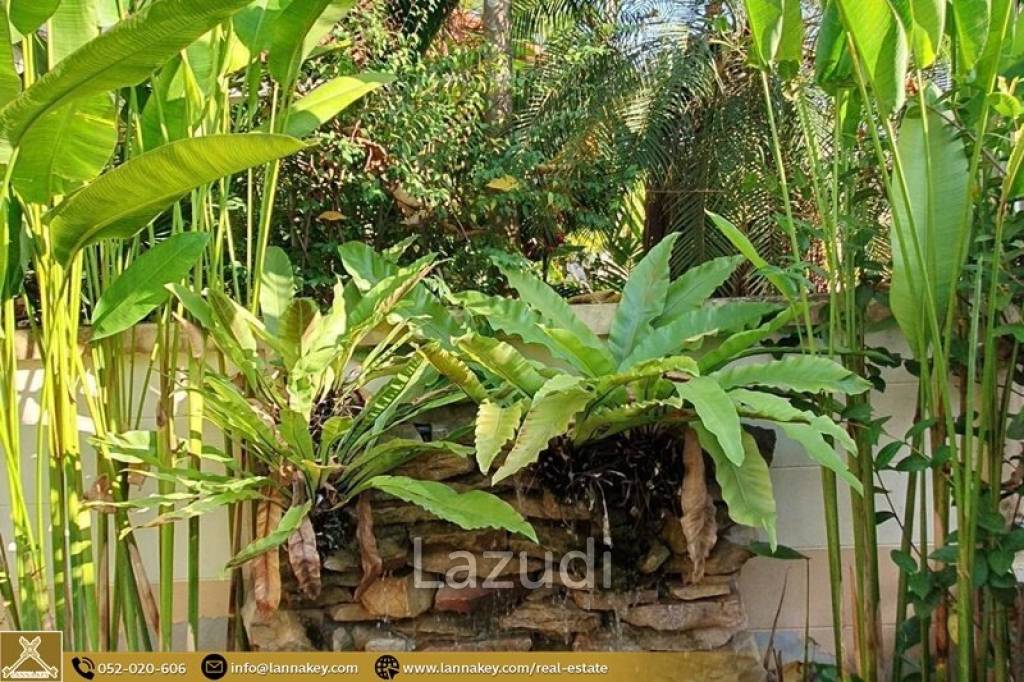 House for rent in Rung Arun 3 near Kad Farang