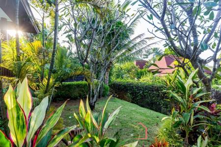 Bali Style 3 Bedroom Pool Villa in Khao Tao