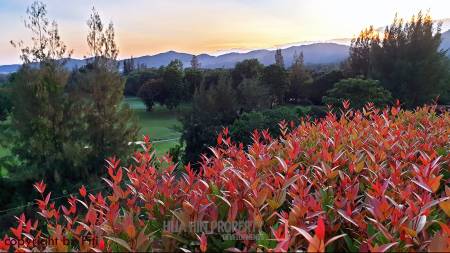 Autumn Condo: 1 Bedroom Condo For Sale