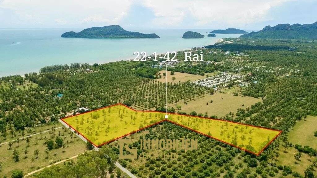 35,768 m² Atterrir Pour Vente