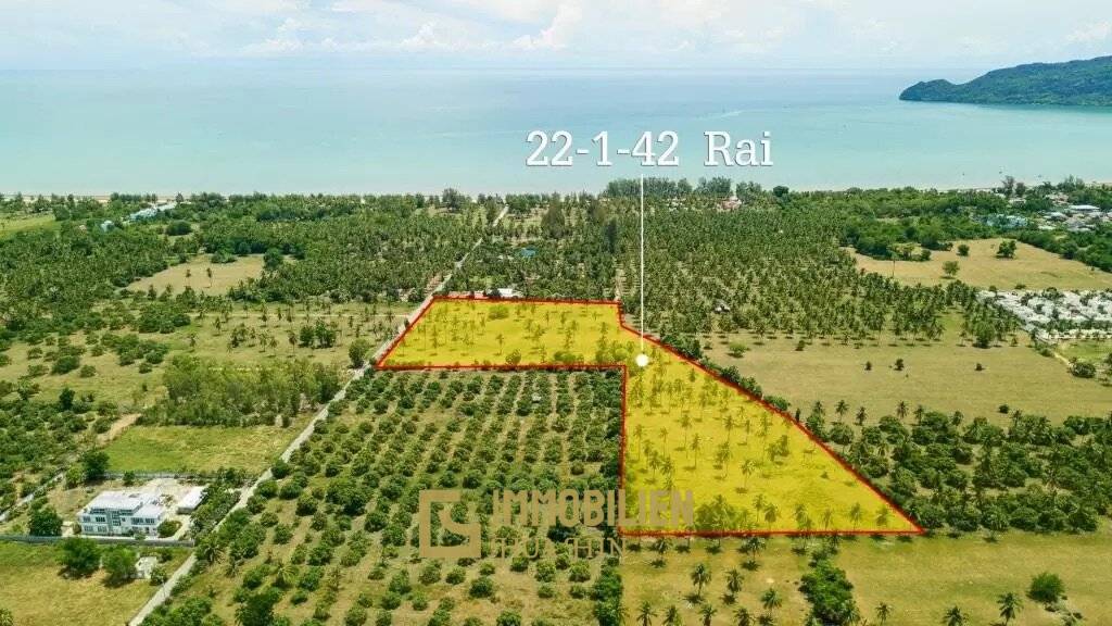 35,768 m² Atterrir Pour Vente