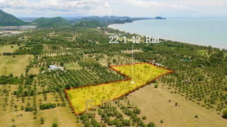 35,768 m² Atterrir Pour Vente