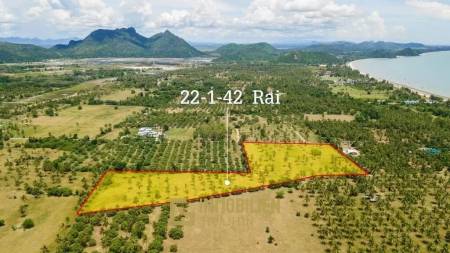 35,768 m² Atterrir Pour Vente