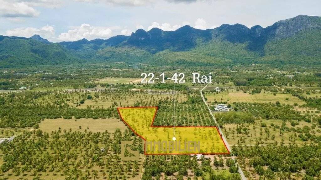 35,768 m² Atterrir Pour Vente