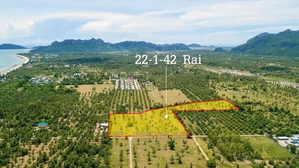 35,768 m² Atterrir Pour Vente