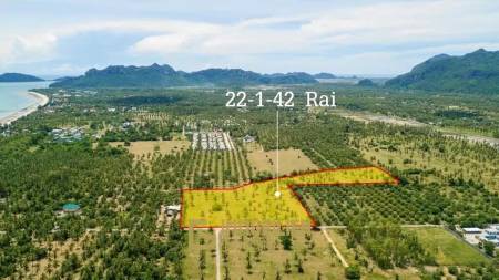 35,768 m² Atterrir Pour Vente