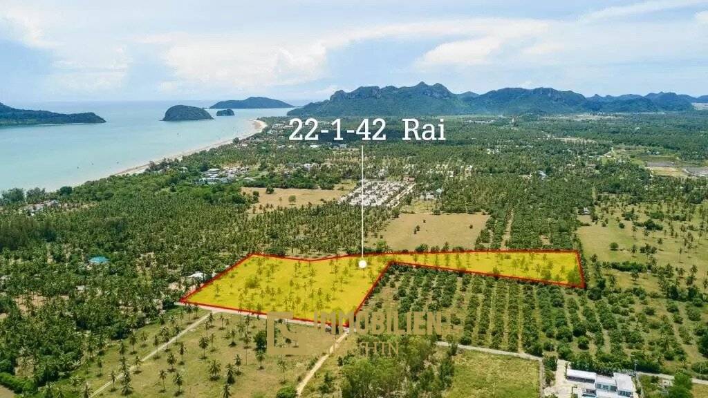 35,768 m² Atterrir Pour Vente